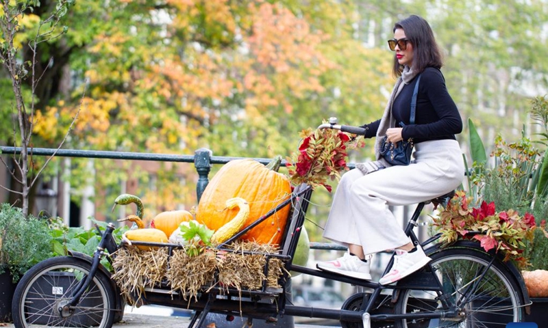 A woman is seen on a bicycle decorated with pumpkins in central Amsterdam, the Netherlands, on Oct. 11, 2022.(Photo: Xinhua)