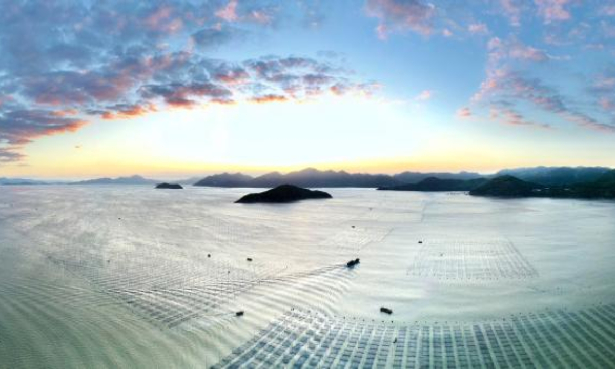 This aerial photo taken on Oct 21, 2022 shows fishers harvesting in a seaborne laver farm at Shatangjie Village, Songshan Sub-district, Xiapu County of southeast China's Fujian Province. Photo:Xinhua