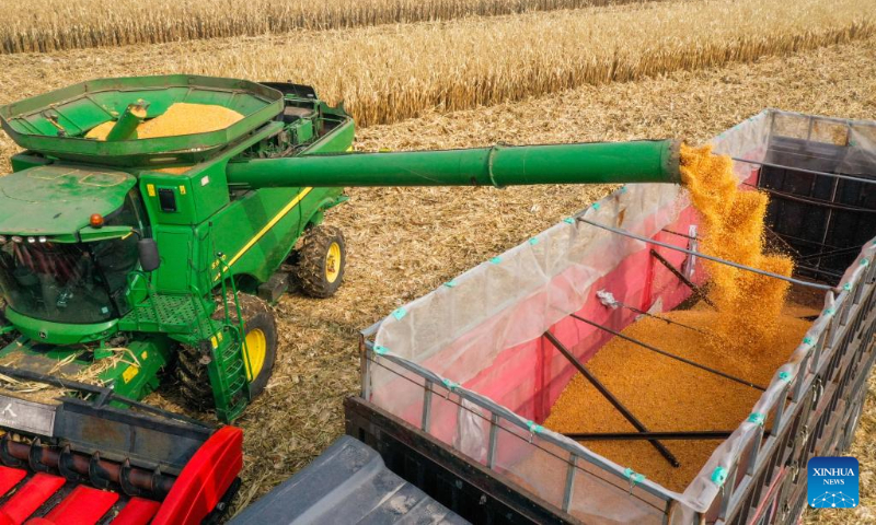 This aerial photo shows farmers harvesting corn in Horqin District of Tongliao City, north China's Inner Mongolia Autonomous Region, Oct. 14, 2022. (Xinhua/Lian Zhen)