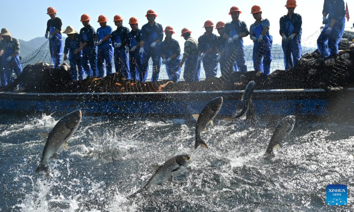 Fishermen catch fish in cooperation using a huge fishnet on Huangshanjian waters of the Qiandao Lake in Chun'an County, east China's Zhejiang Province, Oct 22, 2022. Photo:Xinhua