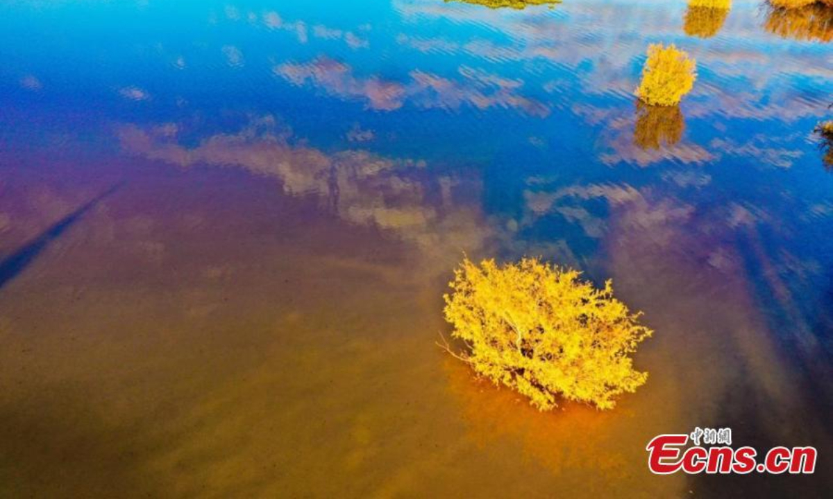 A wetland in Hutubi County, Changji Hui Autonomous Prefecture, northwest China’s Xinjiang Uyghur Autonomous Region. Grass, lakes, and birds coexist in the wetland, presenting an oil painting-like scenery. Photo: China News Service