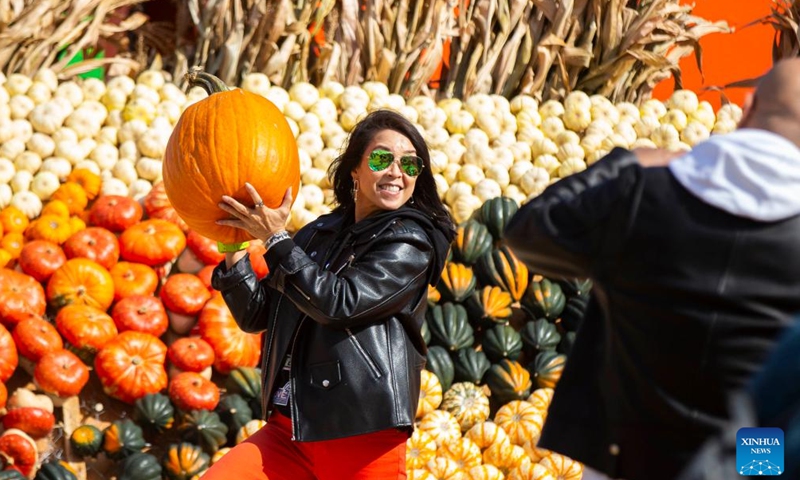 A visitor poses for photos with a pumpkin at the Pumpkinville in Toronto, Canada, Oct. 15, 2022. The 2022 edition of Pumpkinville takes place in Toronto from Sept. 30 to Oct. 31. The pop-up show features various pumpkin sculptures and houses made with over 30,000 real pumpkins.Photo:Xinhua