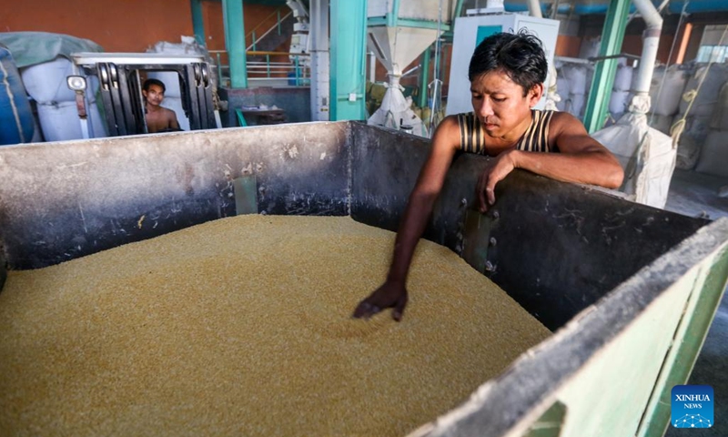 A worker checks beans at a beans and pulses processing plant in Yangon, Myanmar, Oct. 17, 2022. Myanmar exported more than 811,812 tons of beans and pulses worth over 637 million U.S. dollars in the first half of the 2022-23 fiscal year, showed the Ministry of Commerce's figures on Monday.(Photo: Xinhua)