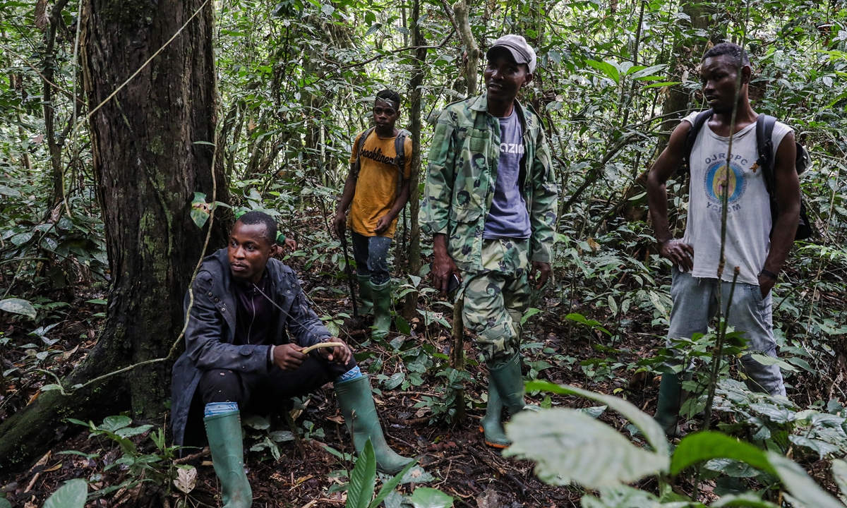 Trackers and eco-guards take a break in the middle of the Campo Ma'an National Park in Cameroon on October 13, 2022. Photo: AFP