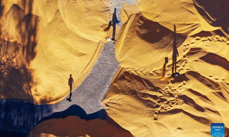 This aerial photo shows farmers drying corn in Naiman Banner of Tongliao City, north China's Inner Mongolia Autonomous Region, Oct. 18, 2022.Photo:Xinhua