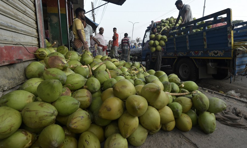 Workers are unloading tender coconuts from a truck at a marketplace in Dhaka, Bangladesh on Oct. 20, 2022.(Photo: Xinhua)