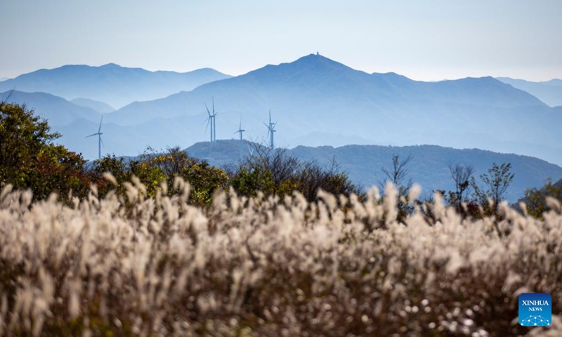 This photo taken on Oct. 20, 2022 shows the autumn scenery of Mount Mudeung in Gwangju, South Korea.(Photo: Xinhua)