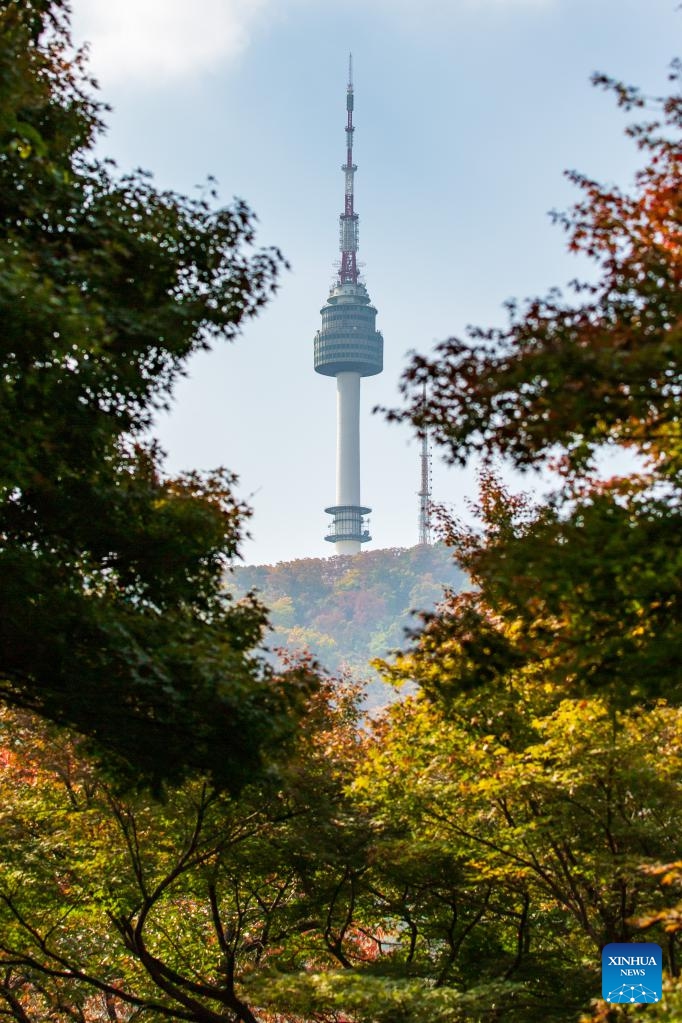 This photo taken on Oct. 23, 2022 shows the Namsan Seoul Tower amid autumn trees at Namsan Park in Seoul, South Korea. Photo: Xinhua