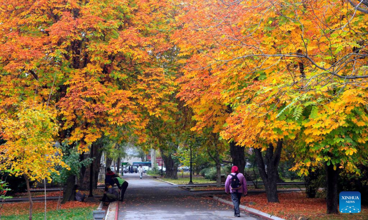 The autumn scenery is pictured at the Oak Park in Bishkek, Kyrgyzstan, Oct 24, 2022. Photo:Xinhua