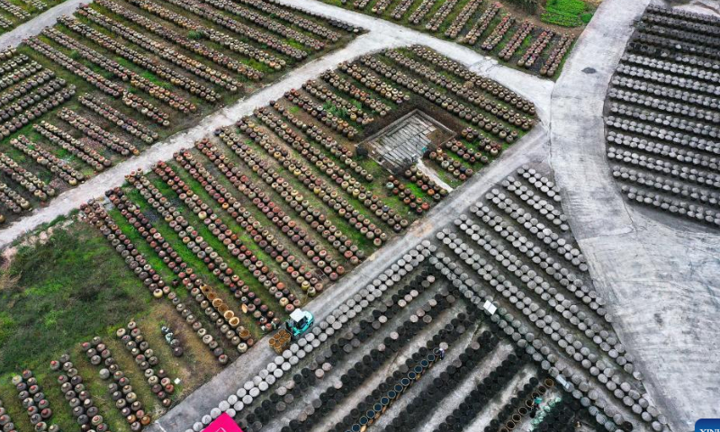 This aerial photo taken on Oct. 28, 2022 shows workers operating at the sunning field of a vinegar factory in Chishui, southwest China's Guizhou Province. Photo: Xinhua