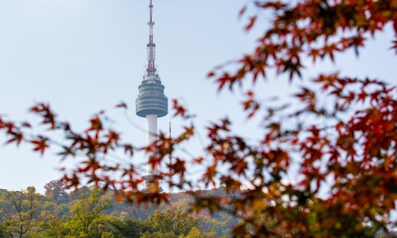 This photo taken on Oct. 23, 2022 shows the Namsan Seoul Tower amid autumn trees at Namsan Park in Seoul, South Korea. Photo: Xinhua