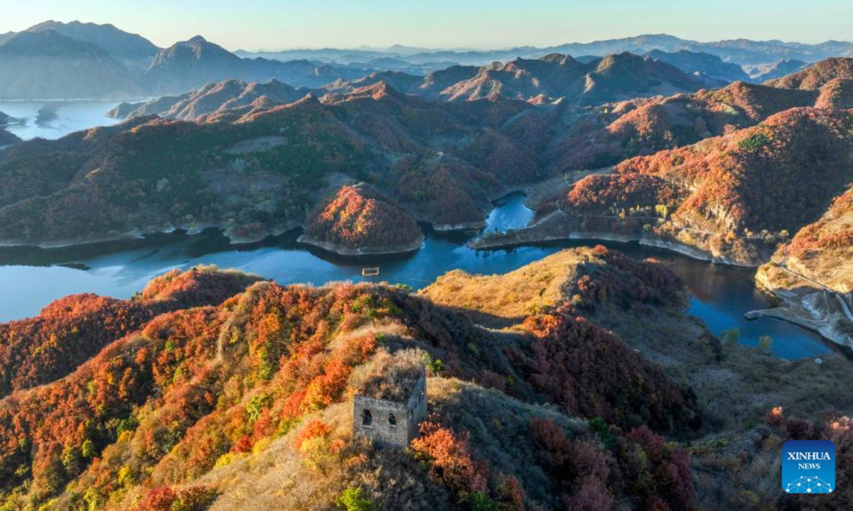 This aerial photo taken on Oct 24, 2022 shows the autumn scenery of a Great Wall section in north China's Hebei Province. Photo:Xinhua