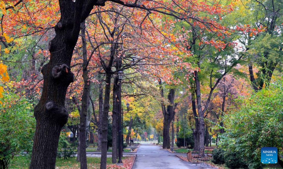 The autumn scenery is pictured at the Oak Park in Bishkek, Kyrgyzstan, Oct 24, 2022. Photo:Xinhua