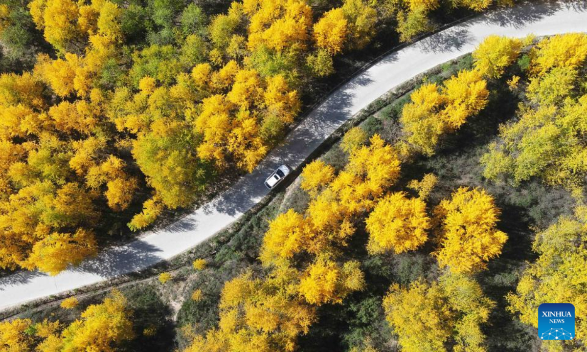 This aerial photo taken on Sep 29, 2022 shows the autumn scenery in Tuanjie Town of Dingxi City, northwest China's Gansu Province. Photo:Xinhua