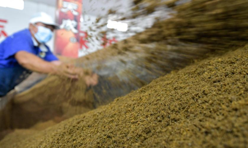 A worker prepares raw materials for vinegar making at a vinegar factory in Chishui, southwest China's Guizhou Province, Oct. 28, 2022. Chishui is celebrated for its sun vinegar, which has maintained a traditional making process. The production techniques of the Chishui vinegar, featuring the sunning process, was listed as a provincial intangible cultural heritage of Guizhou in 2009, and a national one in 2021. The vinegar is noted for its unique flavor also because of its time-tested recipe that include some herbal medicines.