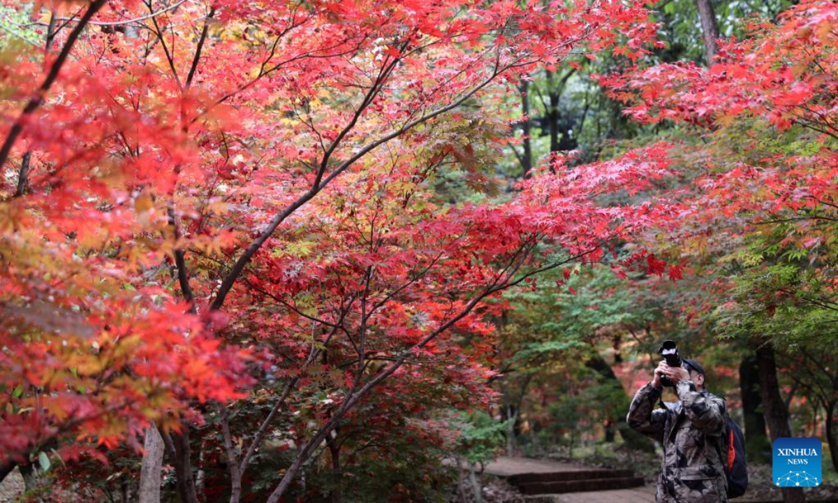 A man takes pictures at Heilongtan Park in Kunming, southwest China's Yunnan Province, Oct 28, 2022. Photo:Xinhua