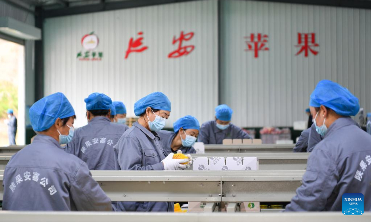 Staff members package apples at an apple sorting and packaging workshop in Nangou Village of Yan'an, northwest China's Shaanxi Province, Oct 27, 2022. Photo:Xinhua