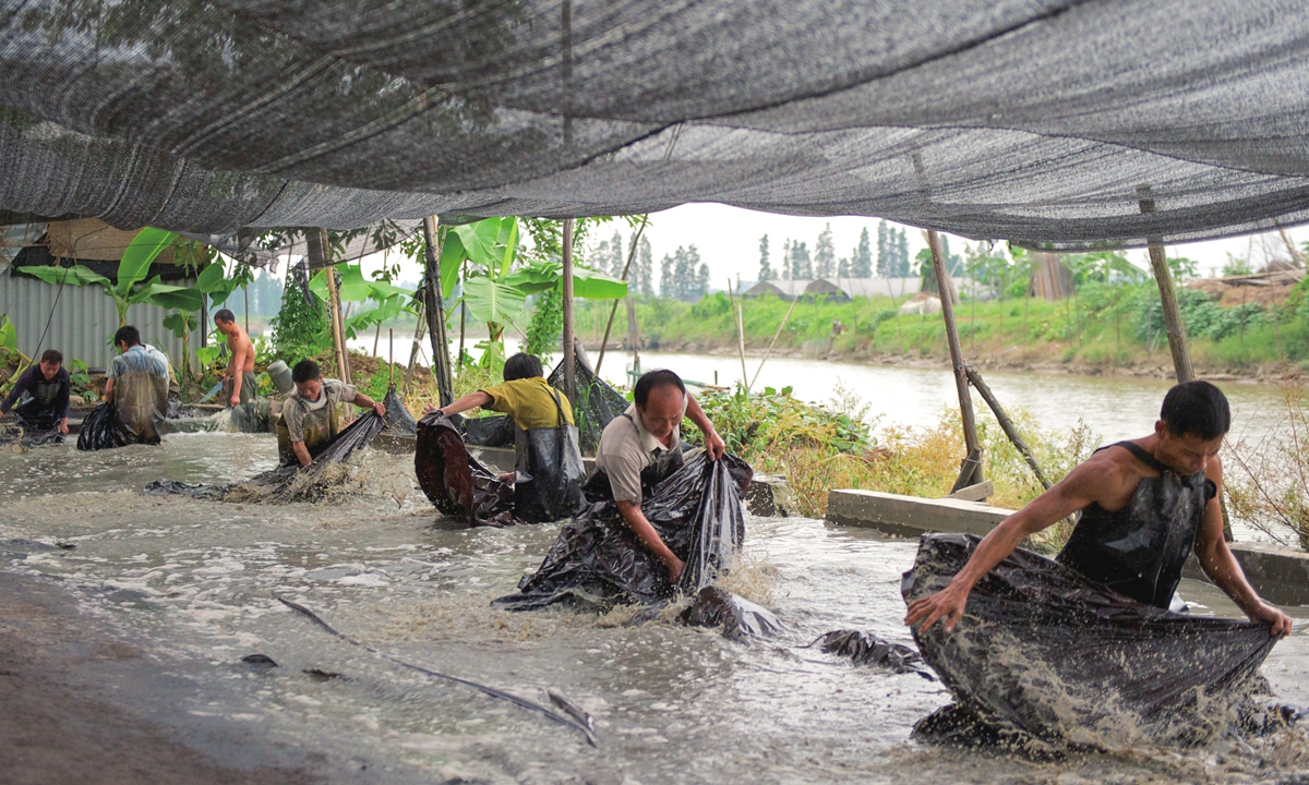 Silk makers wash mud out of <em>xiangyunsha</em> fabric in Foshan, Guangdong Province.
Photos: Courtesy of Kathrin von Rechenberg The 