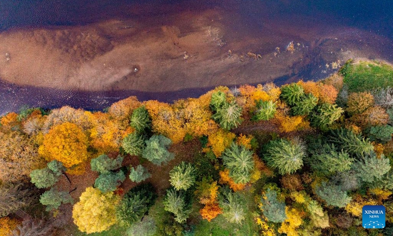 This aerial photo taken on Oct. 14, 2022 shows the autumn scenery in Ogre, Latvia.(Photo: Xinhua)