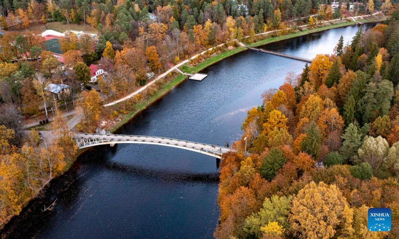 This aerial photo taken on Oct. 14, 2022 shows the autumn scenery in Ogre, Latvia.(Photo: Xinhua)