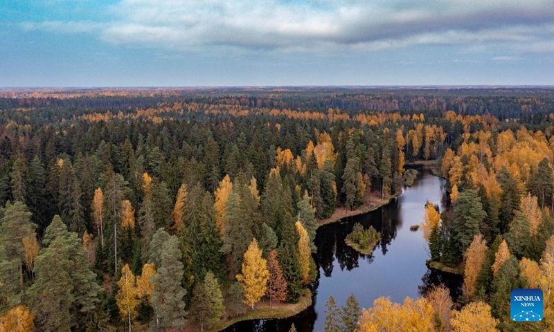 This aerial photo taken on Oct. 15, 2022 shows the autumn scenery in Ogre, Latvia.(Photo: Xinhua)