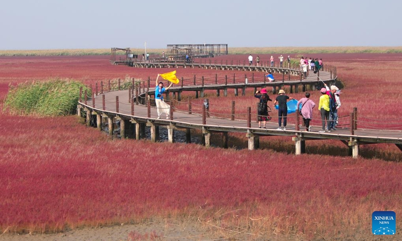 People enjoy the scenery of the Red Beach scenic area in Panjin, northeast China's Liaoning Province, Sept. 28, 2022. (Xinhua/Wang Yijie)