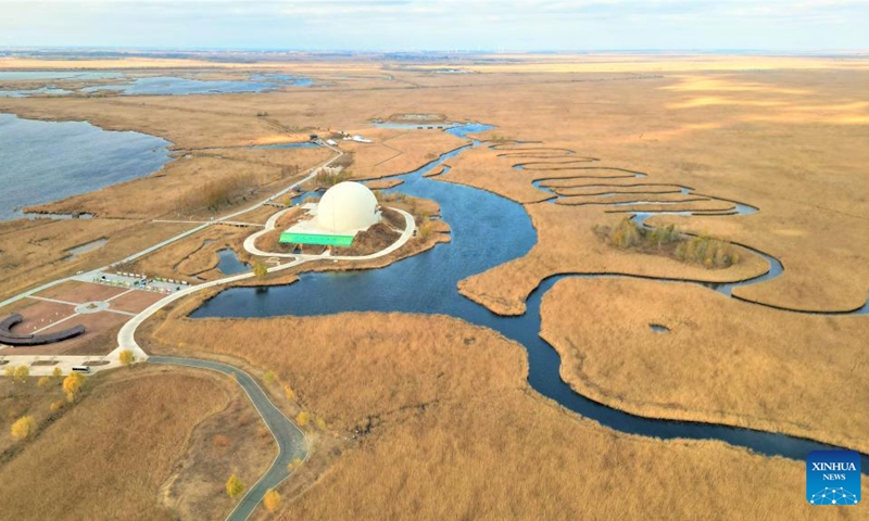 This aerial photo taken on Oct. 21, 2022 shows a view of the Zhalong National Nature Reserve in northeast China's Heilongjiang Province. Zhalong National Nature Reserve is the world's biggest habitat and reproduction base of wild red-crowned cranes. It is known as the home of red-crowned cranes in China.(Photo: Xinhua)
