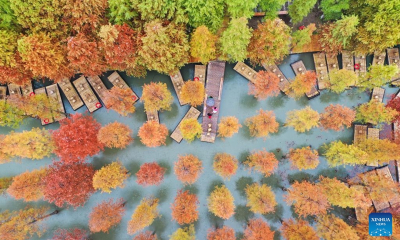 This aerial photo taken on Oct. 26, 2022 shows the autumn scenery of Hongze Lake Wetland Scenic Area in Sihong County, east China's Jiangsu Province.(Photo: Xinhua)