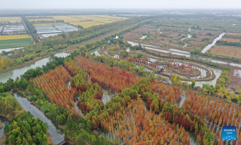 This aerial photo taken on Oct. 26, 2022 shows the autumn scenery of Hongze Lake Wetland Scenic Area in Sihong County, east China's Jiangsu Province.(Photo: Xinhua)