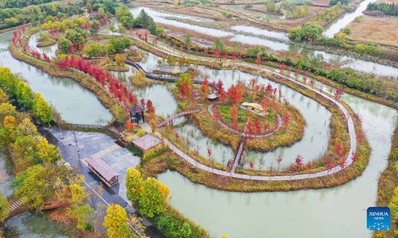 This aerial photo taken on Oct. 26, 2022 shows the autumn scenery of Hongze Lake Wetland Scenic Area in Sihong County, east China's Jiangsu Province.(Photo: Xinhua)