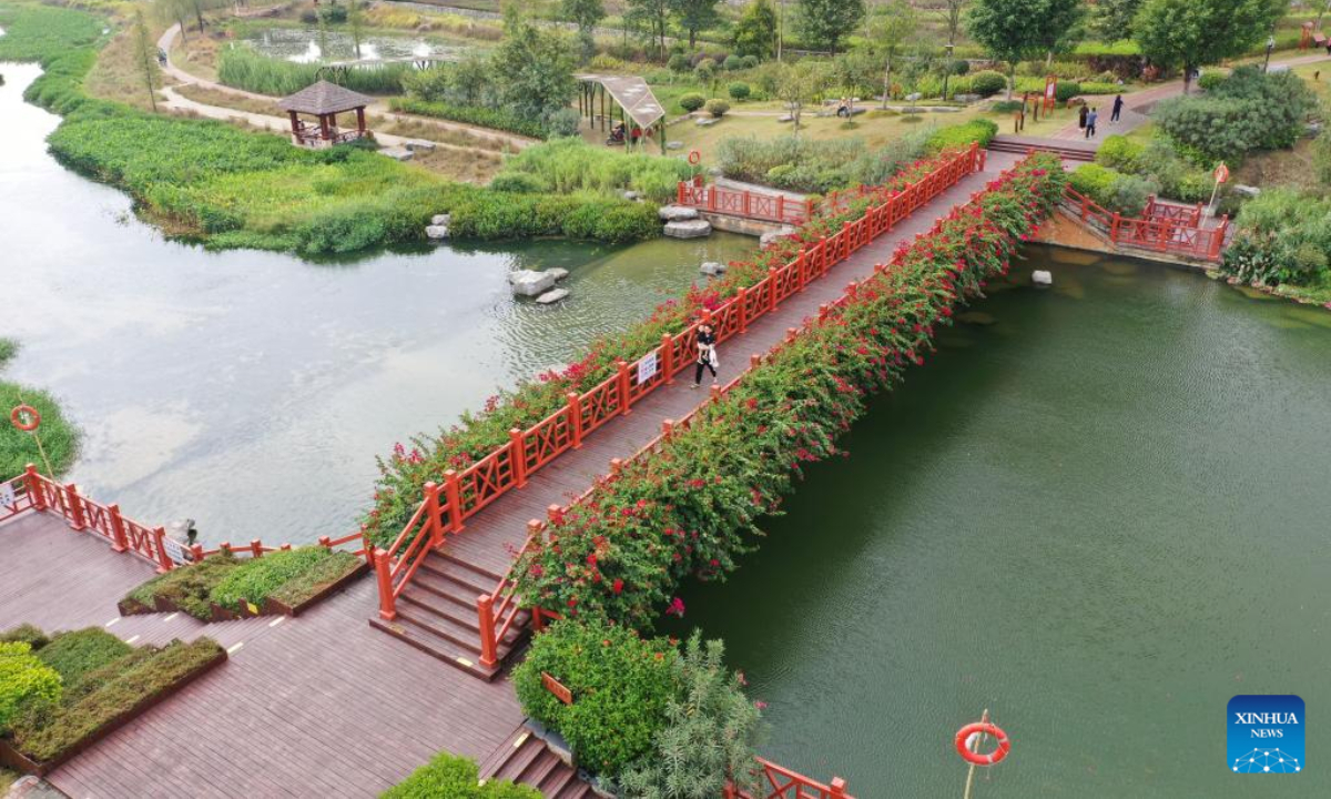 This aerial photo taken on Nov 10, 2022 shows the view of Nakao River wetland park in Nanning, south China's Guangxi Zhuang Autonomous Region. Photo:Xinhua