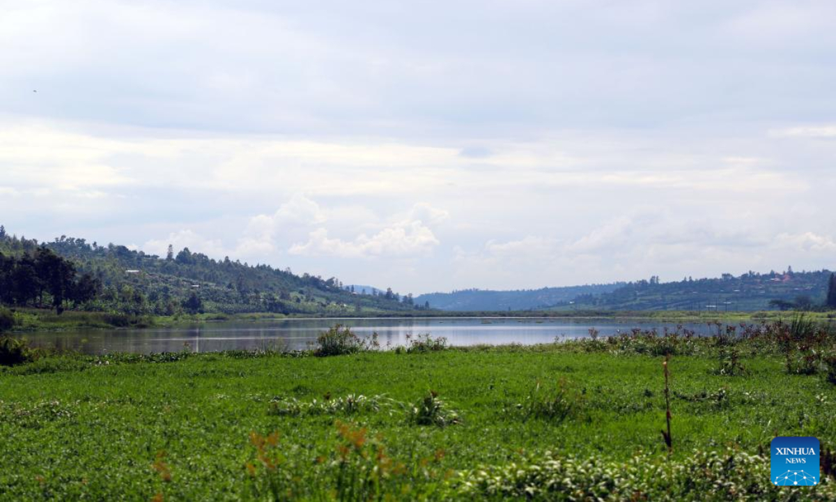 This photo taken on Nov 11, 2022 shows a view of Masaka wetland in Kigali, Rwanda. Photo:Xinhua