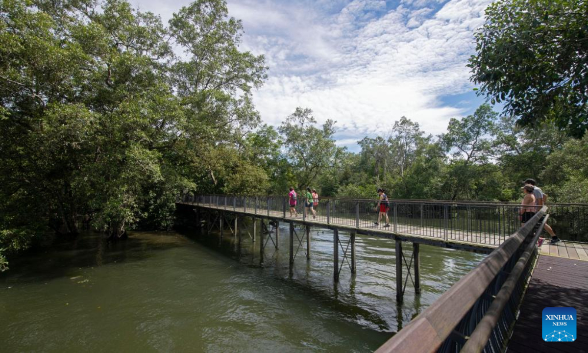 People explore the mangrove swamps on boardwalks in Singapore's Sungei Buloh Wetland Reserve on Oct 27, 2022. Photo:Xinhua