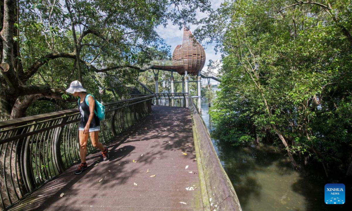 People explore the mangrove swamps on boardwalks in Singapore's Sungei Buloh Wetland Reserve on Oct 27, 2022. Photo:Xinhua