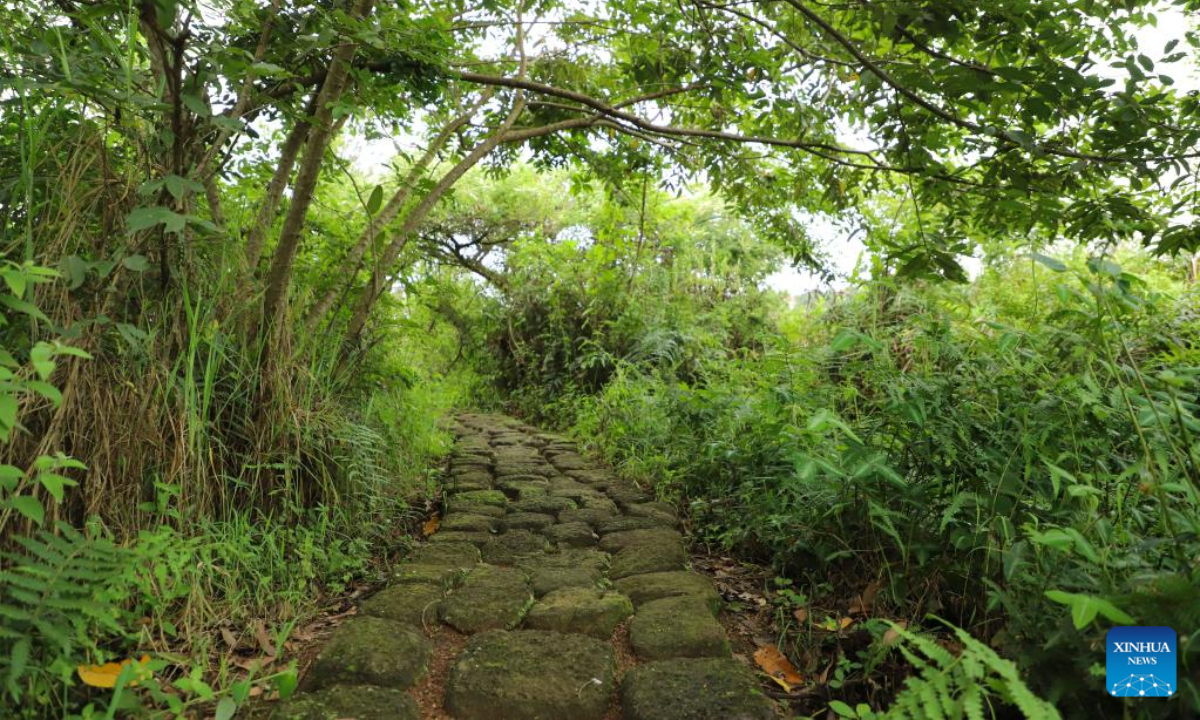 This photo taken on Nov 11, 2022 shows a footpath at Umusambi Village, a restored wetland area, in Kigali, Rwanda. Photo:Xinhua