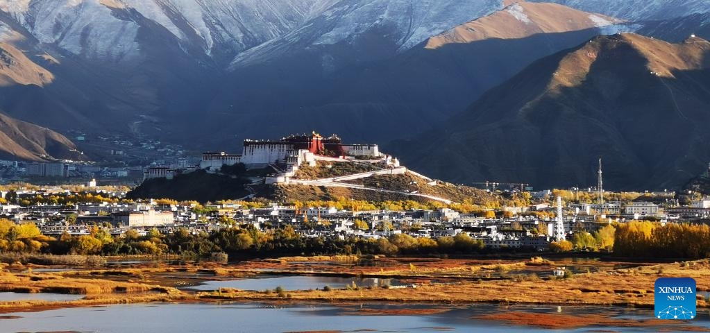 This photo taken on Oct. 29, 2022 shows the autumn view of Potala Palace in Lhasa, southwest China's Tibet Autonomous Region. Photo: Xinhua