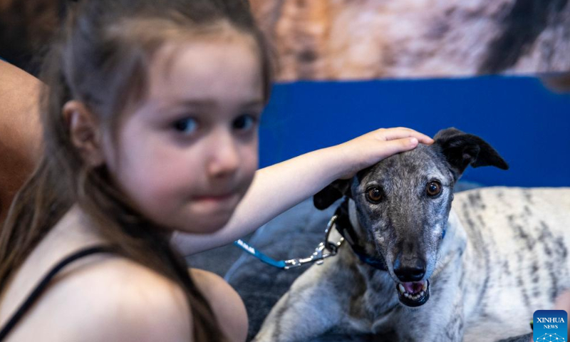 A girl touches a dog while visiting a national pet show in Sydney, Australia, Nov. 5, 2022. Photo: Xinhua