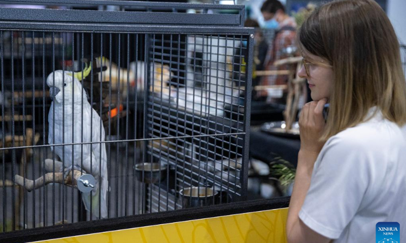 national-pet-show-held-in-sydney-australia-global-times