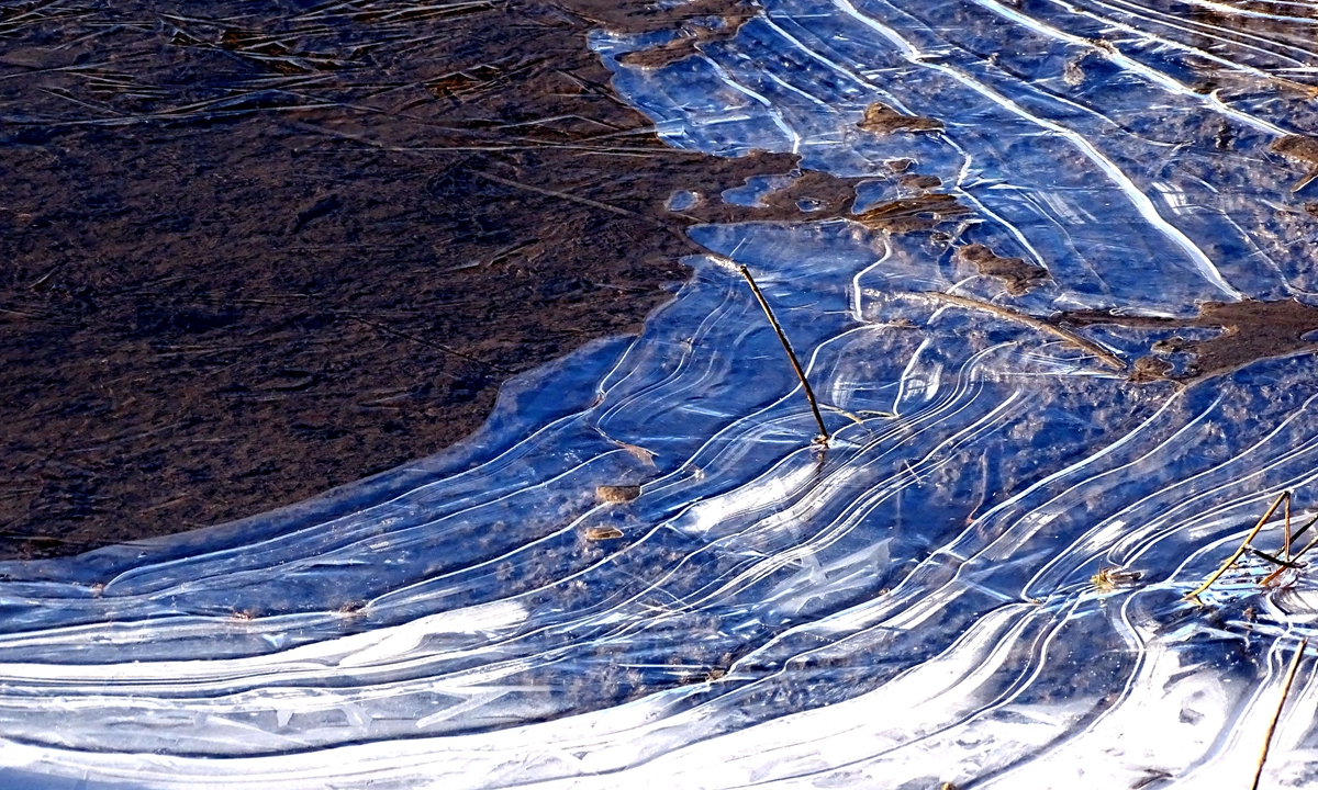 Ice in different shapes and sizes are seen in the morning at the Songhua River wetland in Harbin, Northeast China's Heilongjiang Province on November 1, 2022.Photo:IC