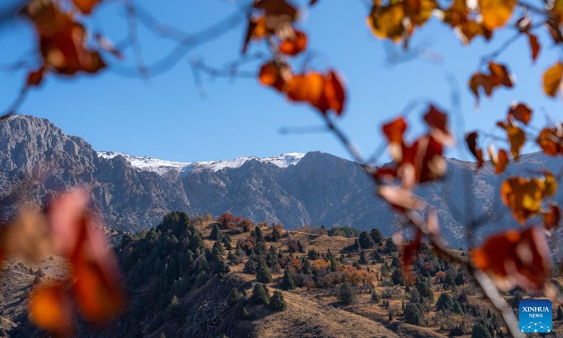 This photo taken on Nov. 1, 2022 shows a view of mountainous areas near Tashkent, capital of Uzbekistan.(Photo: Xinhua)