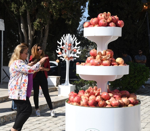 People look at pomegranates during a pomegranate week event showcasing harvested pomegranates and food made from pomegranates in Sidi Bou Said, north of Tunis, Tunisia on Nov. 1, 2022.(Photo: Xinhua)