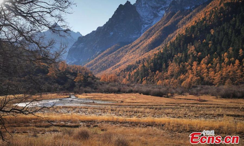 Known for its blue sky, snow mountains, lakes and glaciers, the Daocheng Yading Nature Reserve, dubbed the last Shangri-la, forms a unique landscape and natural beauty in Ganzi Tibetan Autonomous Prefecture, southwest China's Sichuan Province, Nov. 7, 2022. (Photo: China News Service/Xiao Rong)
