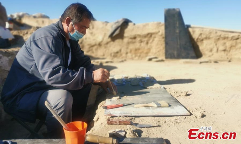 An archeologist works at the discovery site of the Tangchaodun ruins in Qitai, County, the Hui Autonomous Prefecture of Changji, northwest China's Xinjiang Uyghur Autonomous Region. (Photo: China News Service/An Tao)




