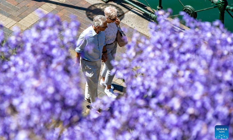 People walk under jacaranda blooms in Sydney, Australia, on Nov. 7, 2022.(Photo: Xinhua)