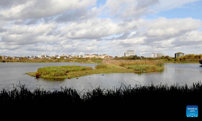 This photo taken on Nov. 9, 2022 shows a view of London Wetland Centre in London, Britain. (Xinhua/Li Ying)