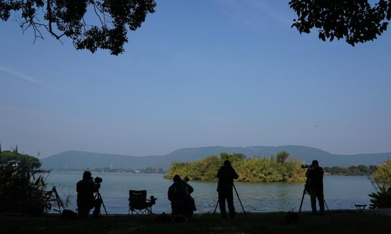 Shutterbugs take photos in the Shanghu national urban wetland park in Changshu, east China's Jiangsu Province, Nov. 15, 2022. Photo: Xinhua