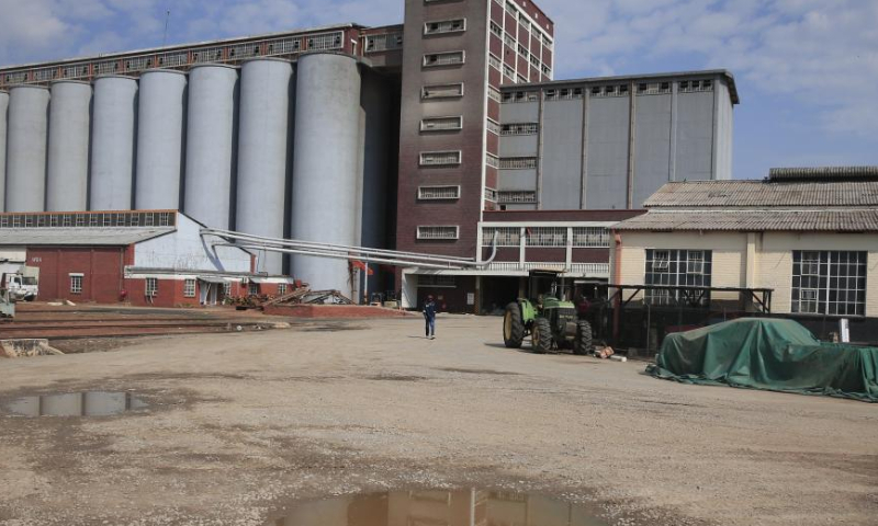 A worker is seen at Grain Marketing Board's Aspindale depot in Harare, Zimbabwe, Nov. 10, 2022. As many African countries face wheat shortages owing to the disruption of supply chains, this year Zimbabwe is projected to produce 380,000 tonnes of wheat against a national consumption estimate of 360,000 tonnes. Photo: Xinhua