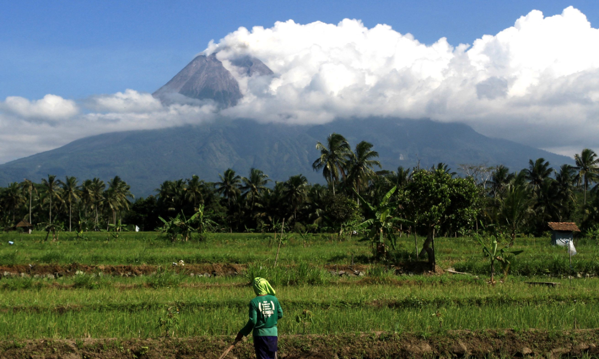 A farmer works in his field as Mount Merapi spews thin smoke in the air in Sleman, Indonesia on December 20, 2022. Mount Merapi is a frequently active volcano located in Yogyakarta. In 2010, the eruption of Mount Merapi displaced 350,000 people, caused 353 deaths and injured 577 people. Photo: VCG