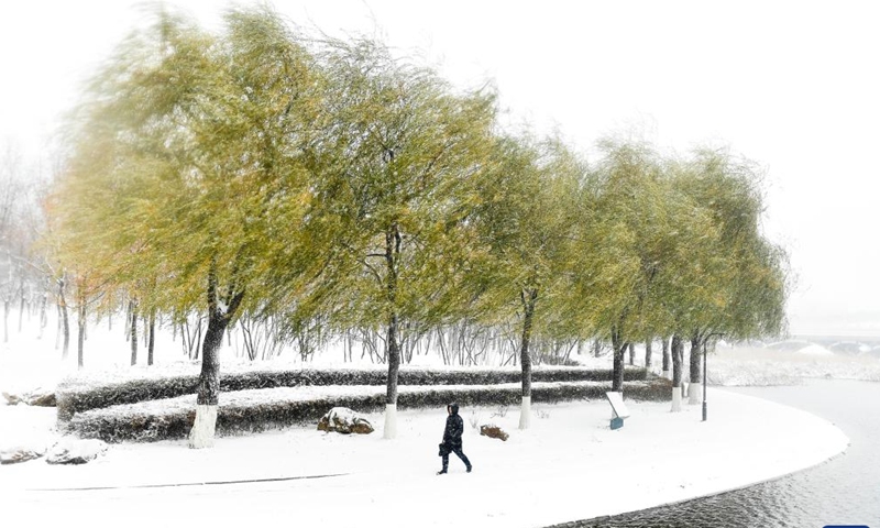 A citizen walks during a snowfall in Changchun, northeast China's Jilin Province, Nov. 12, 2022. A snowfall hit some parts of Jilin Province on Saturday. (Xinhua/Xu Chang)