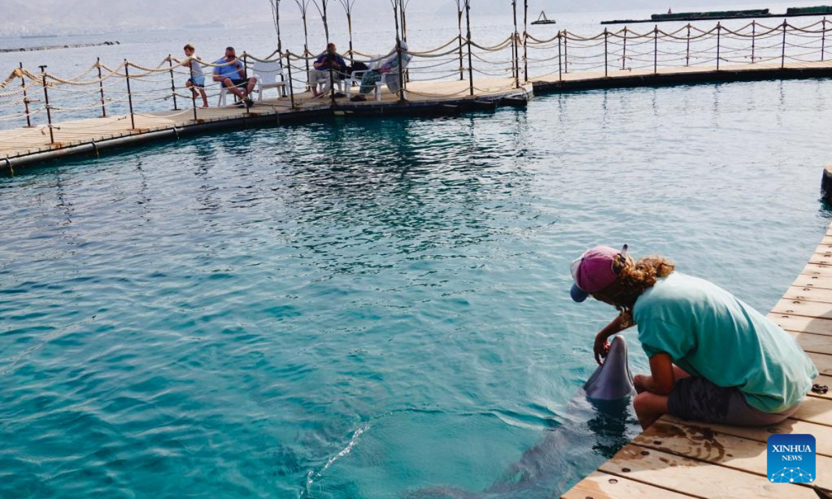 A staff member of Dolphin Reef interacts with a dolphin on the shores of the Red Sea in the southernmost Israeli city of Eilat, on Nov 21, 2022. Photo:Xinhua